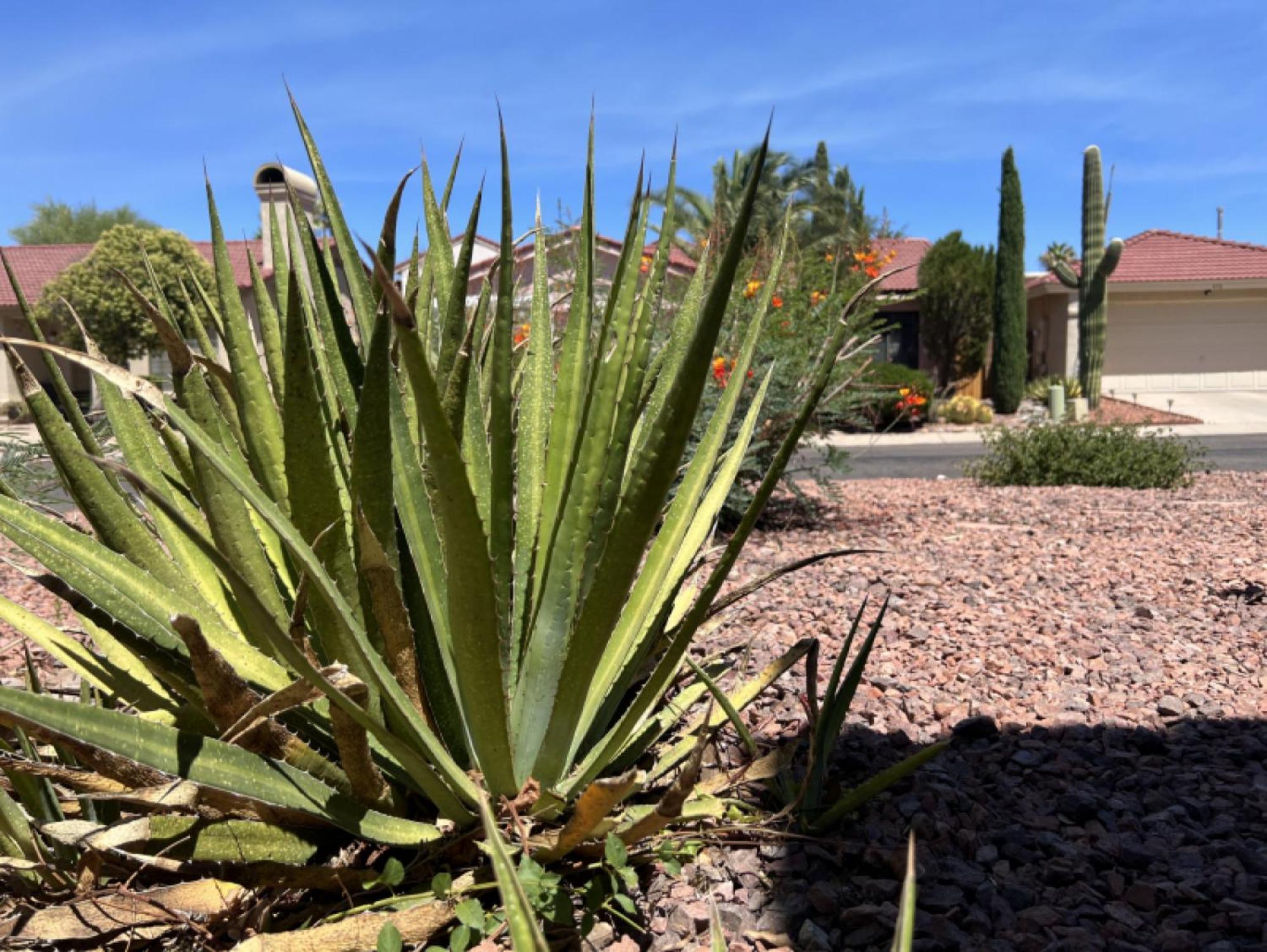 Private Home - Billiards, Mountain Views, Private Desert Access, Hoa Pool & Spa, Bbq, At Lambert Park - Bourbondale Tucson Exterior photo